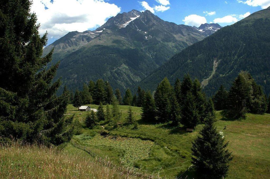 Haus Birgit Hotell Pettneu am Arlberg Eksteriør bilde